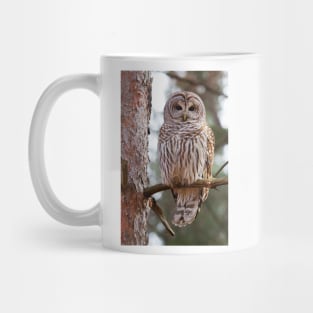 Barred Owl Mug